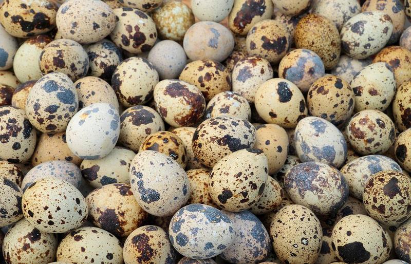 Czas gotowania jajek przepiórczych