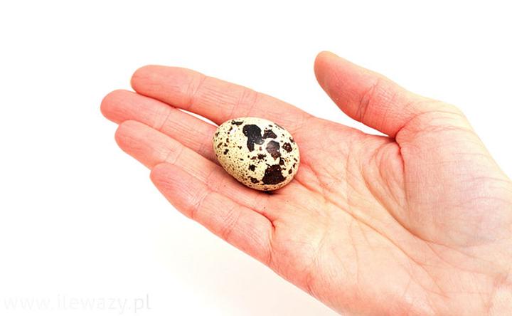 Gotowanie jajek przepiórczych