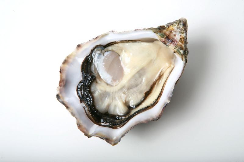 Przygotowanie i podawanie ostryg