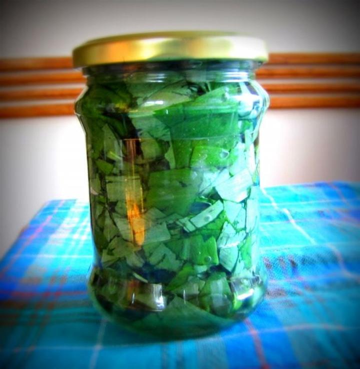 Kiszenie czosnku niedźwiedziego