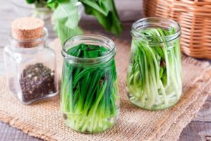 Odkryj niepowtarzalny smak kiszonego czosnku niedźwiedziego w Twojej kuchni