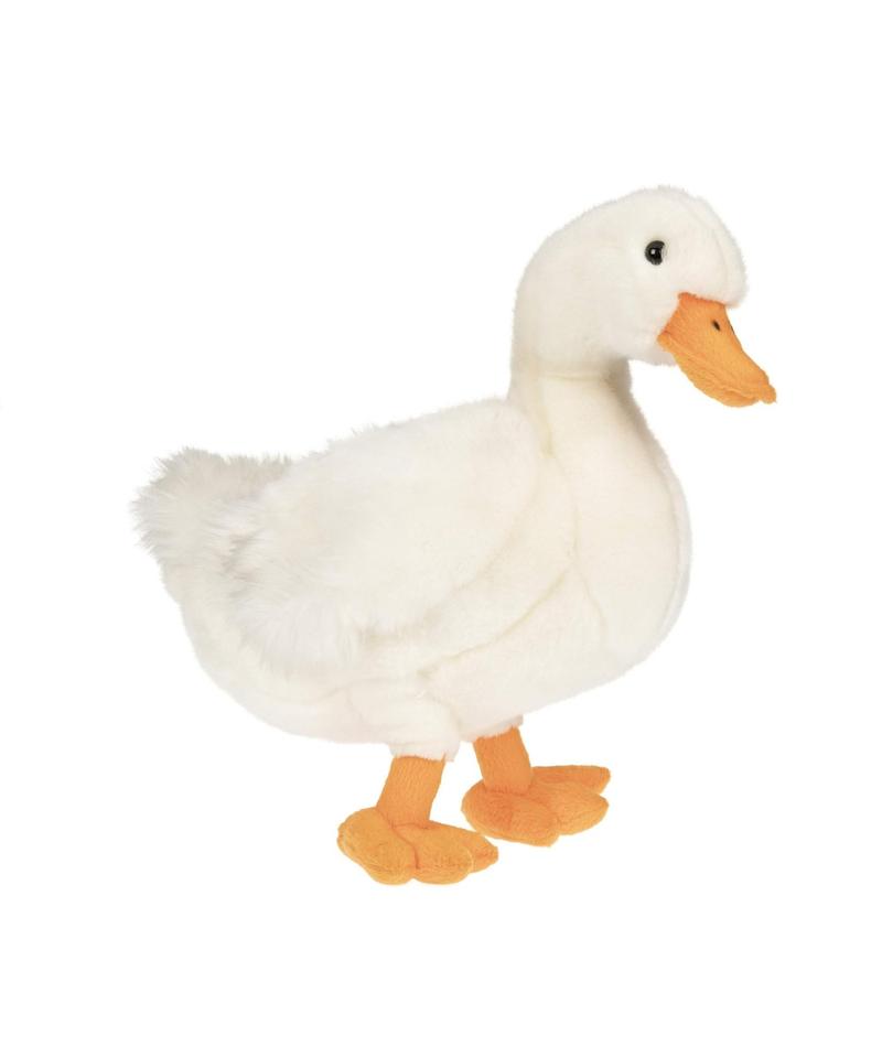 Czas i temperatura pieczenia kaczki