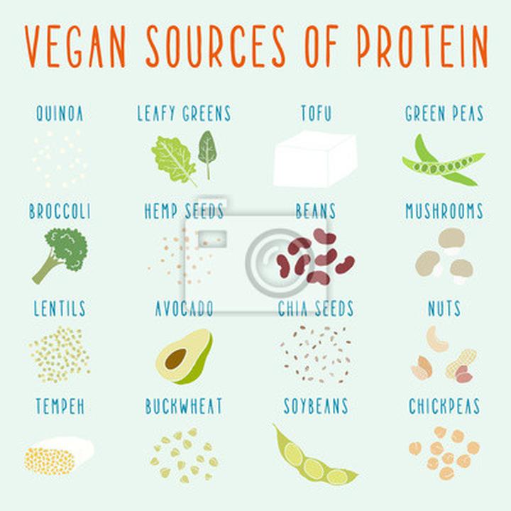 Pełnowartościowe białko roślinne