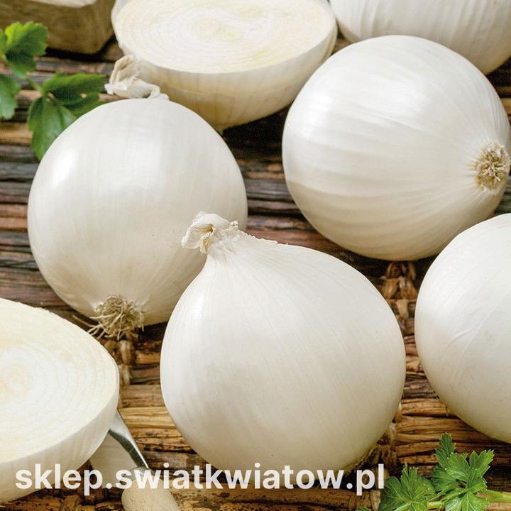 Różnice między szalotką a cebulą