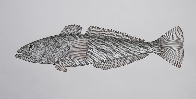 Smak i przygotowanie antar