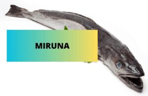 Ile kalorii kryje w sobie smażona miruna? Przewodnik dla miłośników ryb